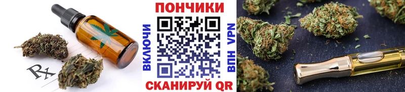 Canna-Cookies марихуана  это состав  Наволоки 