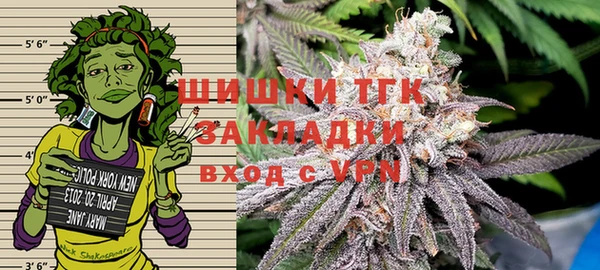 гидропоника Бугульма