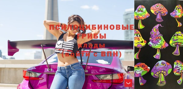 гидропоника Бугульма