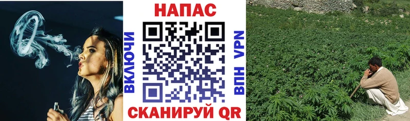 Конопля план Наволоки
